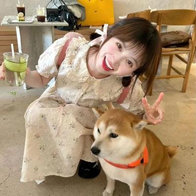 侠影仙踪